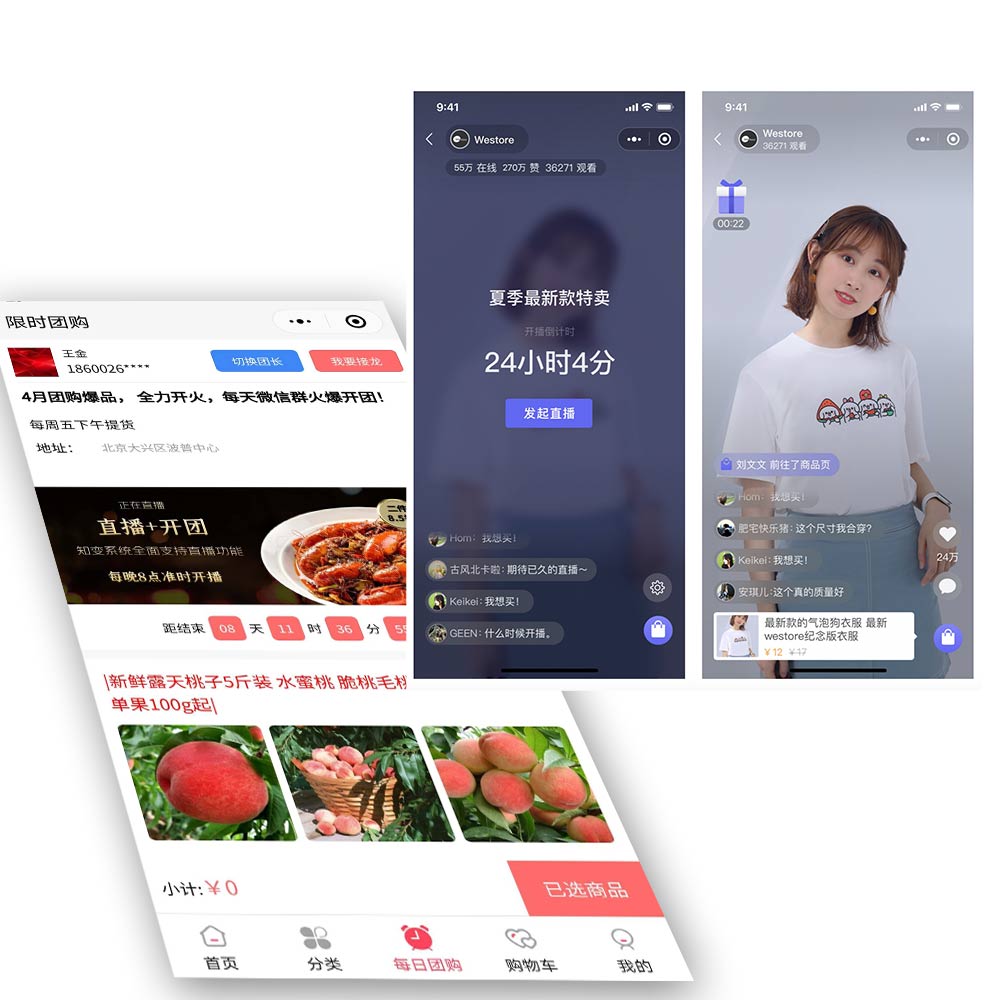 �����Ź�ϵͳ,�����Ź�С����,�����Ź�����,�����Ź�